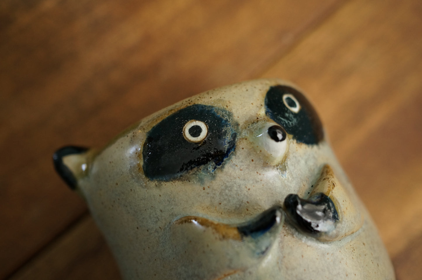 Raccoon Cup