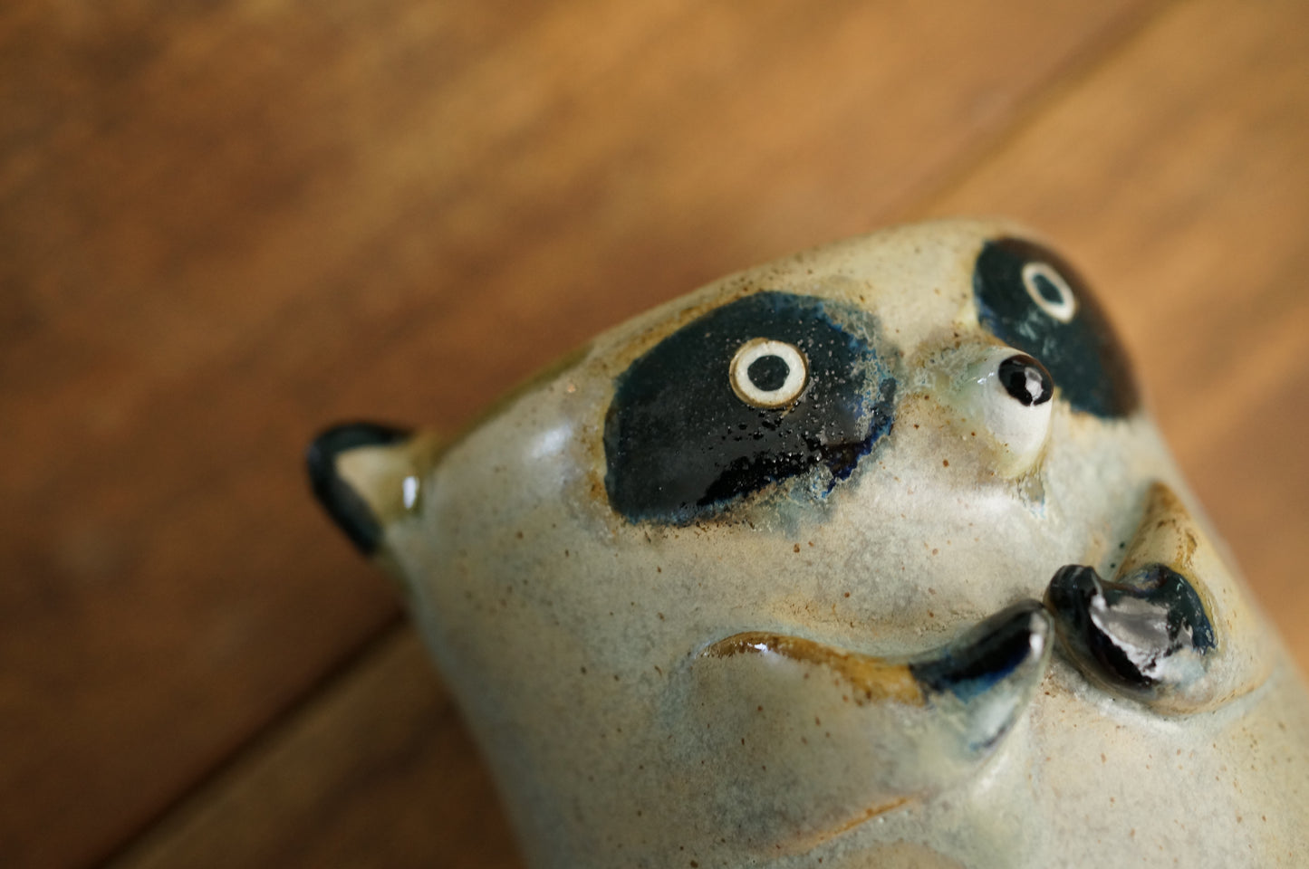 Raccoon Cup