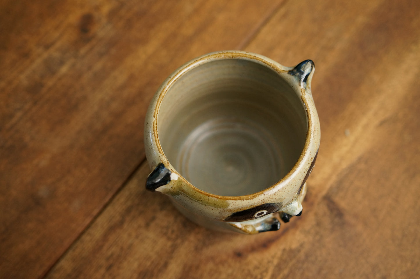 Raccoon Cup