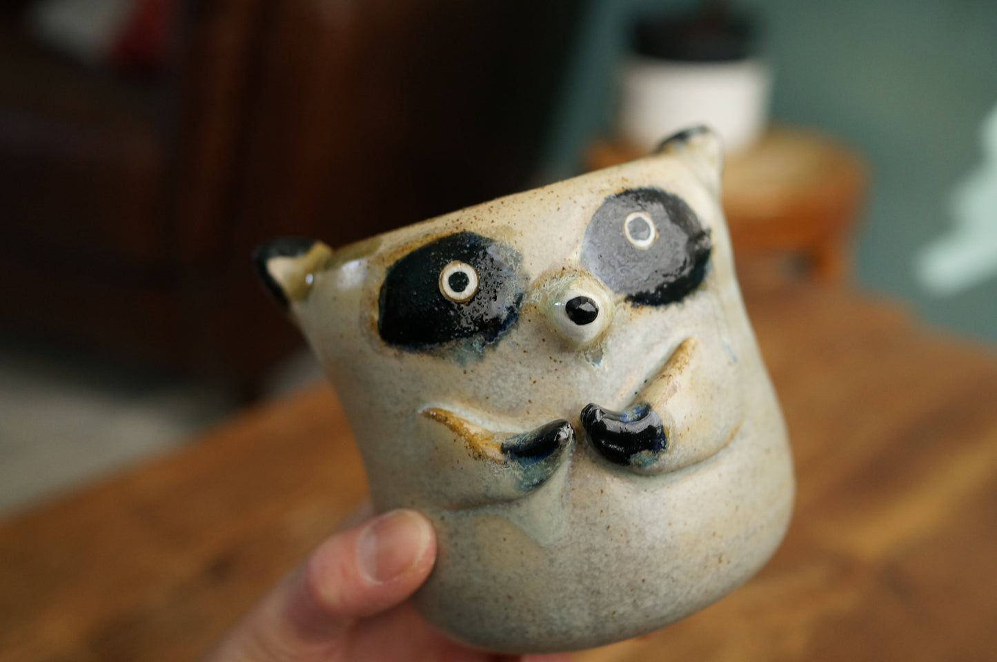 Raccoon Cup