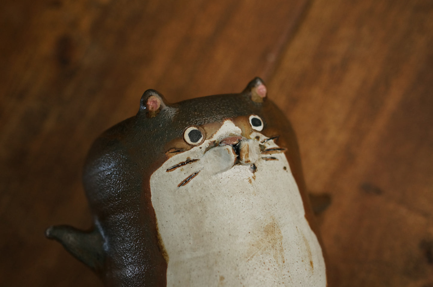Cat Cup