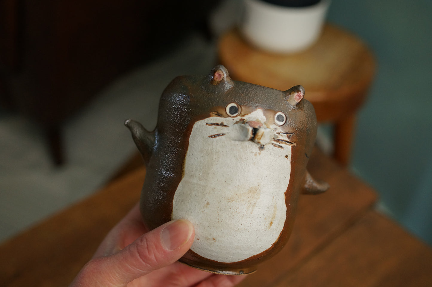 Cat Cup