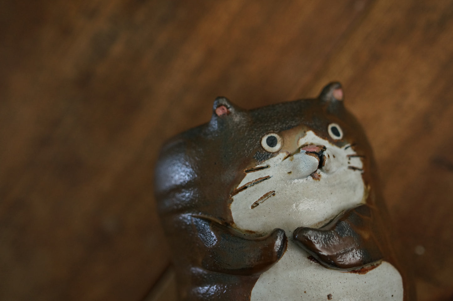 Cat Cup