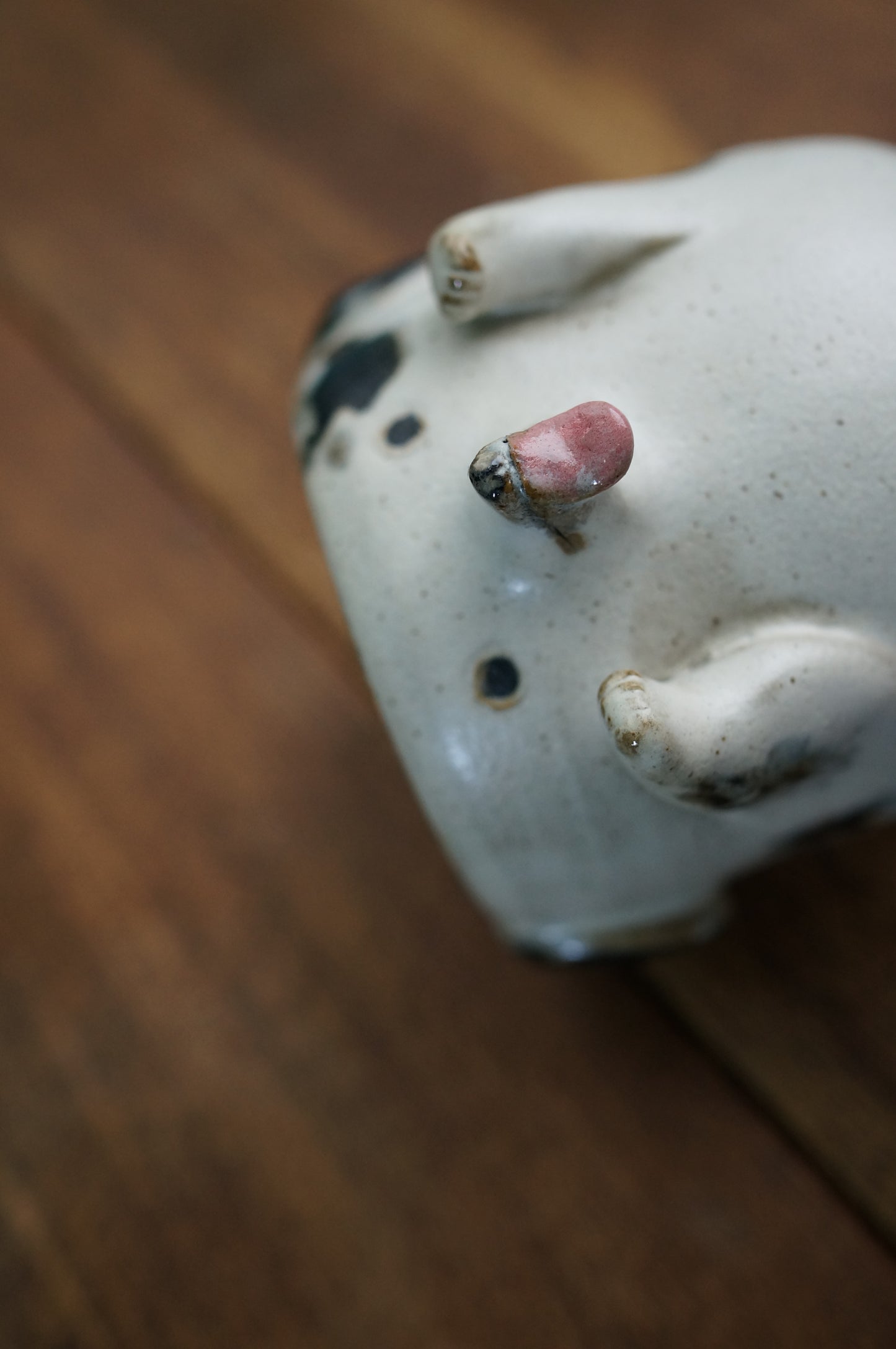 Dalmatian Dog Cup