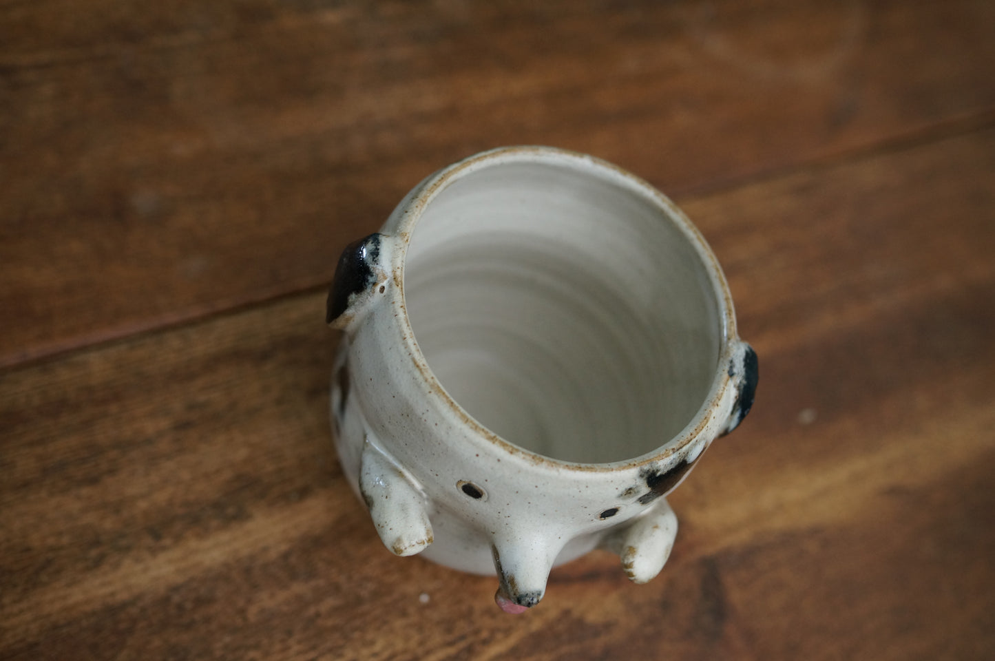 Dalmatian Dog Cup