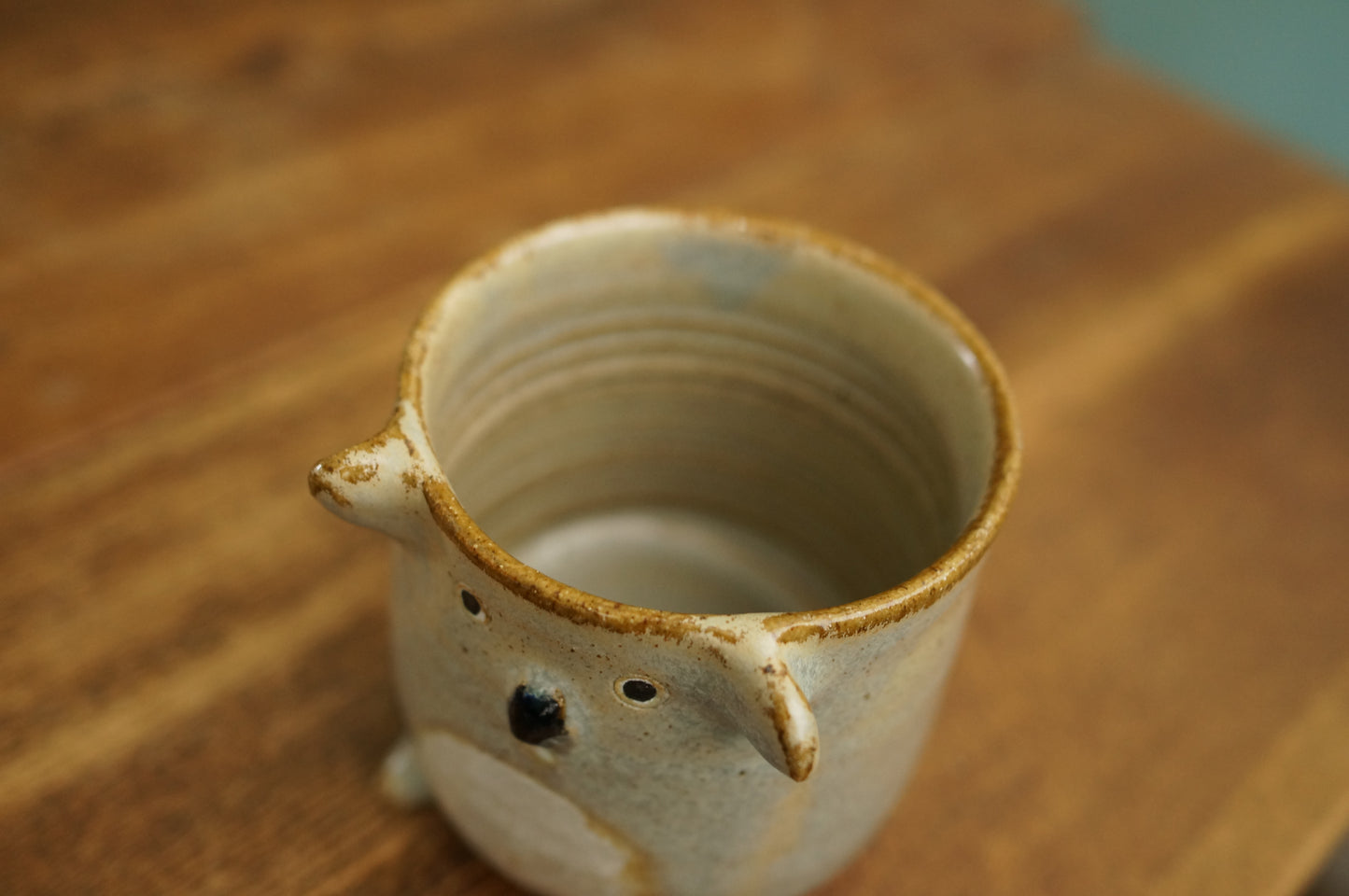Four Legs Koala Cup