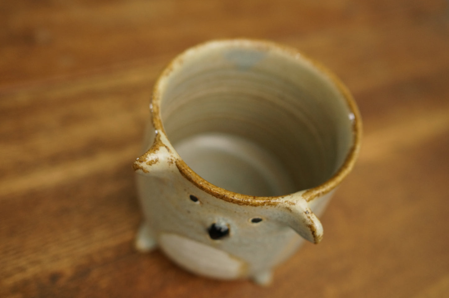 Four Legs Koala Cup