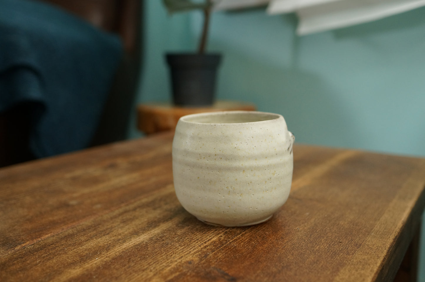 Seal Mug