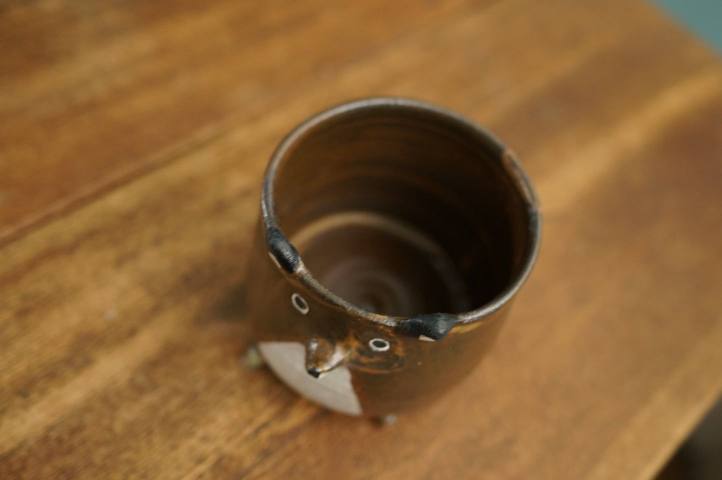 Four Legs  Fox Cup