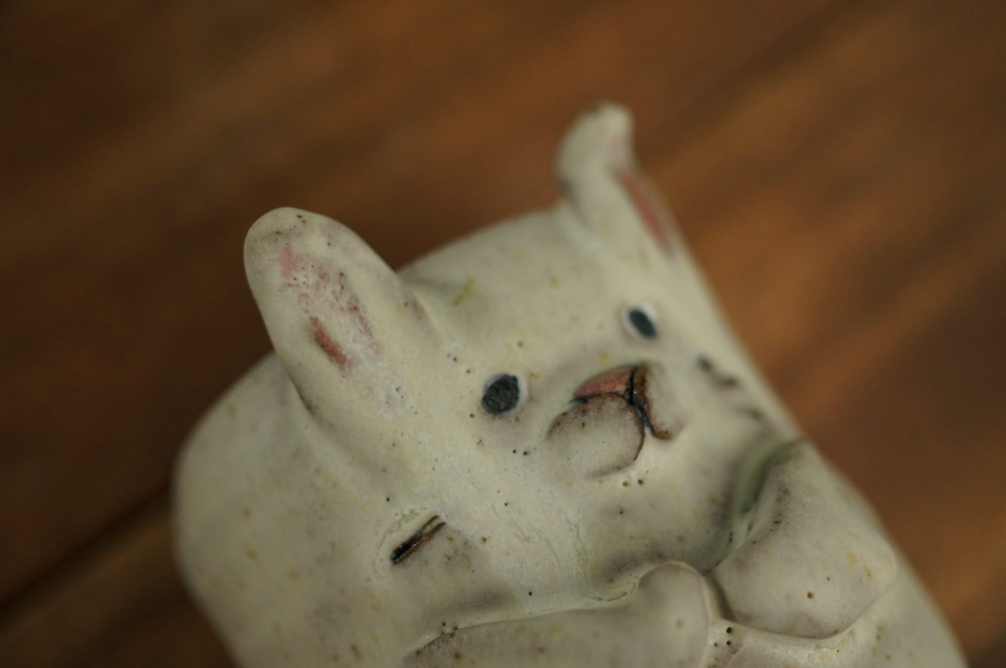 Rabbit Cup