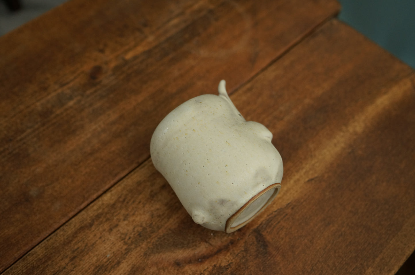 Rabbit Cup
