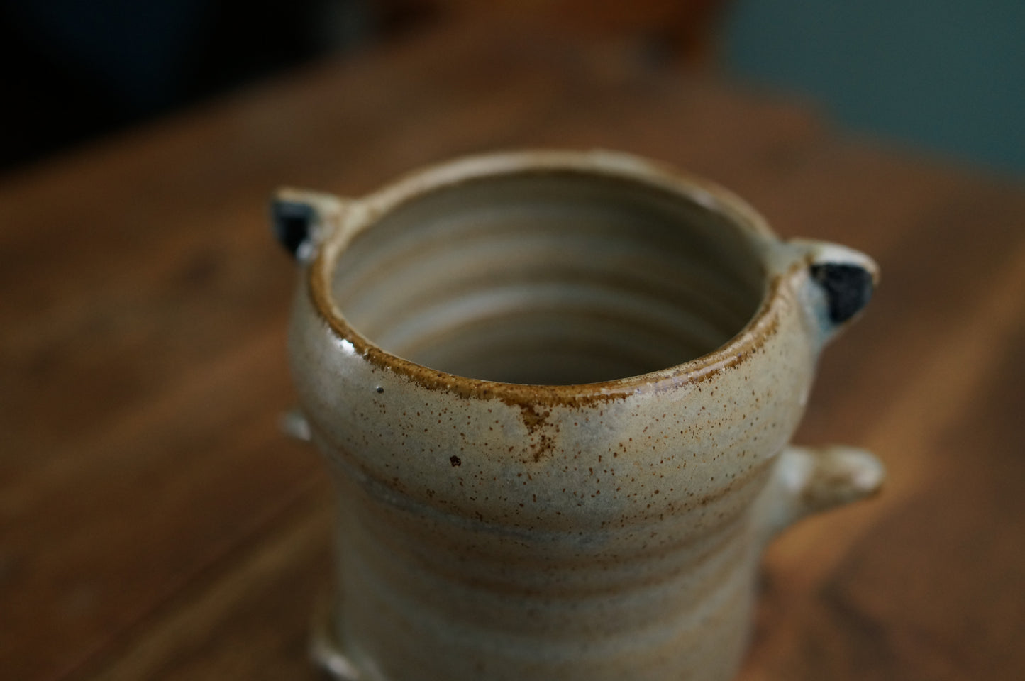 Ring tailed lemur Cup