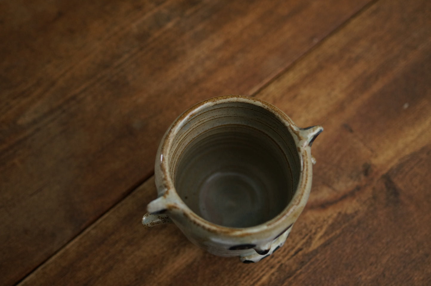 Ring tailed lemur Cup