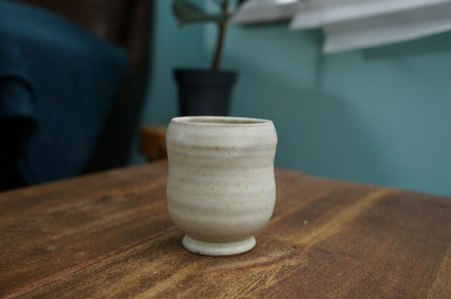 Snowy Owl Cup