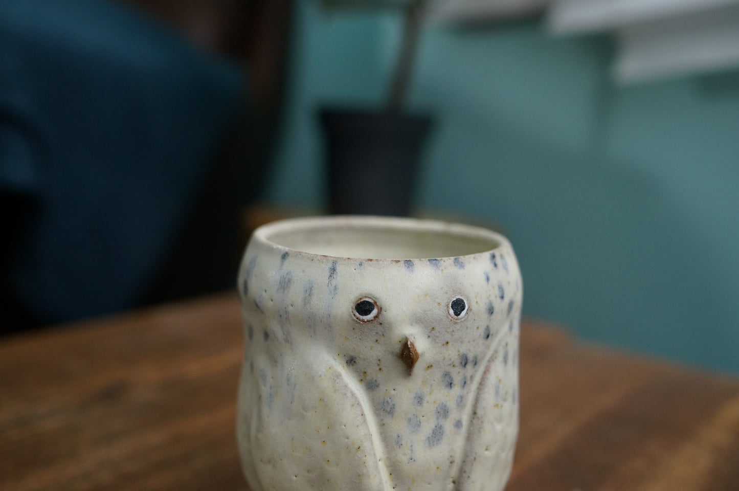 Snowy Owl Cup