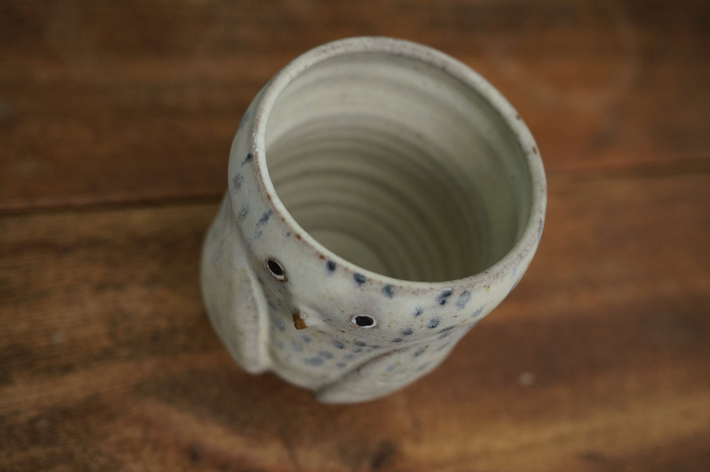 Snowy Owl Cup