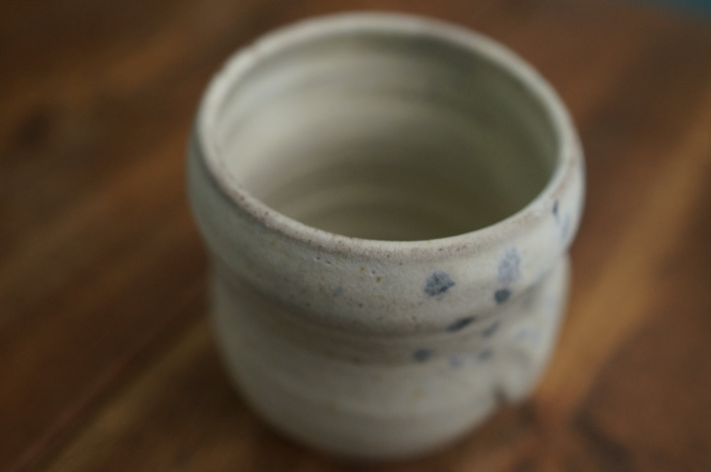 Snowy Owl Cup
