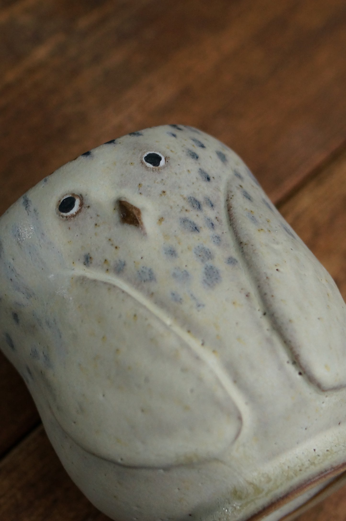 Snowy Owl Cup
