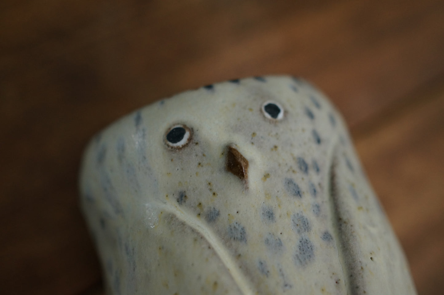 Snowy Owl Cup