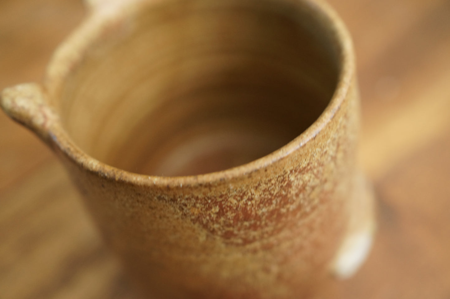 Four Legs Shiba Inu Dog Cup