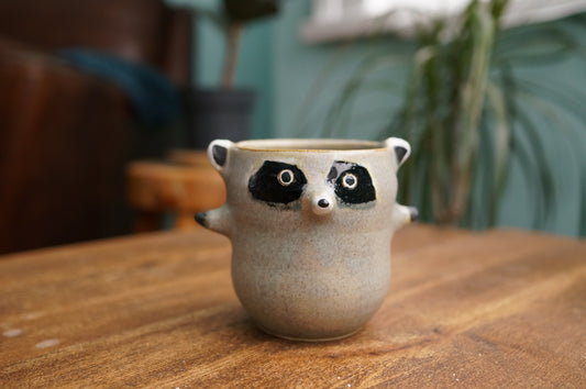 Raccoon Cup
