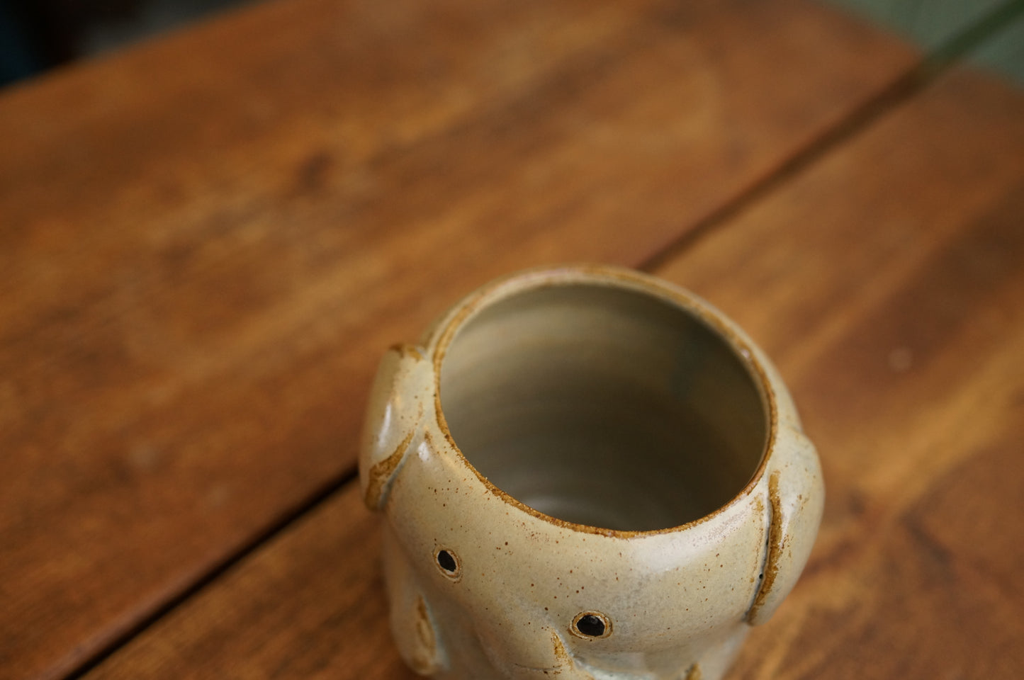 Elephant Cup