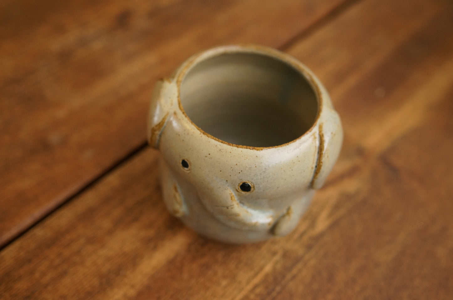 Elephant Cup