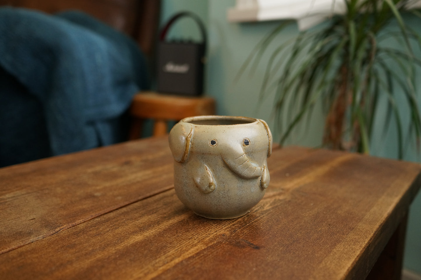 Elephant Cup
