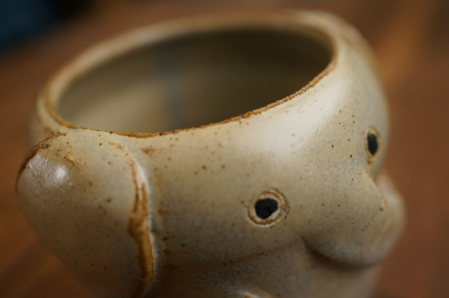Elephant Cup