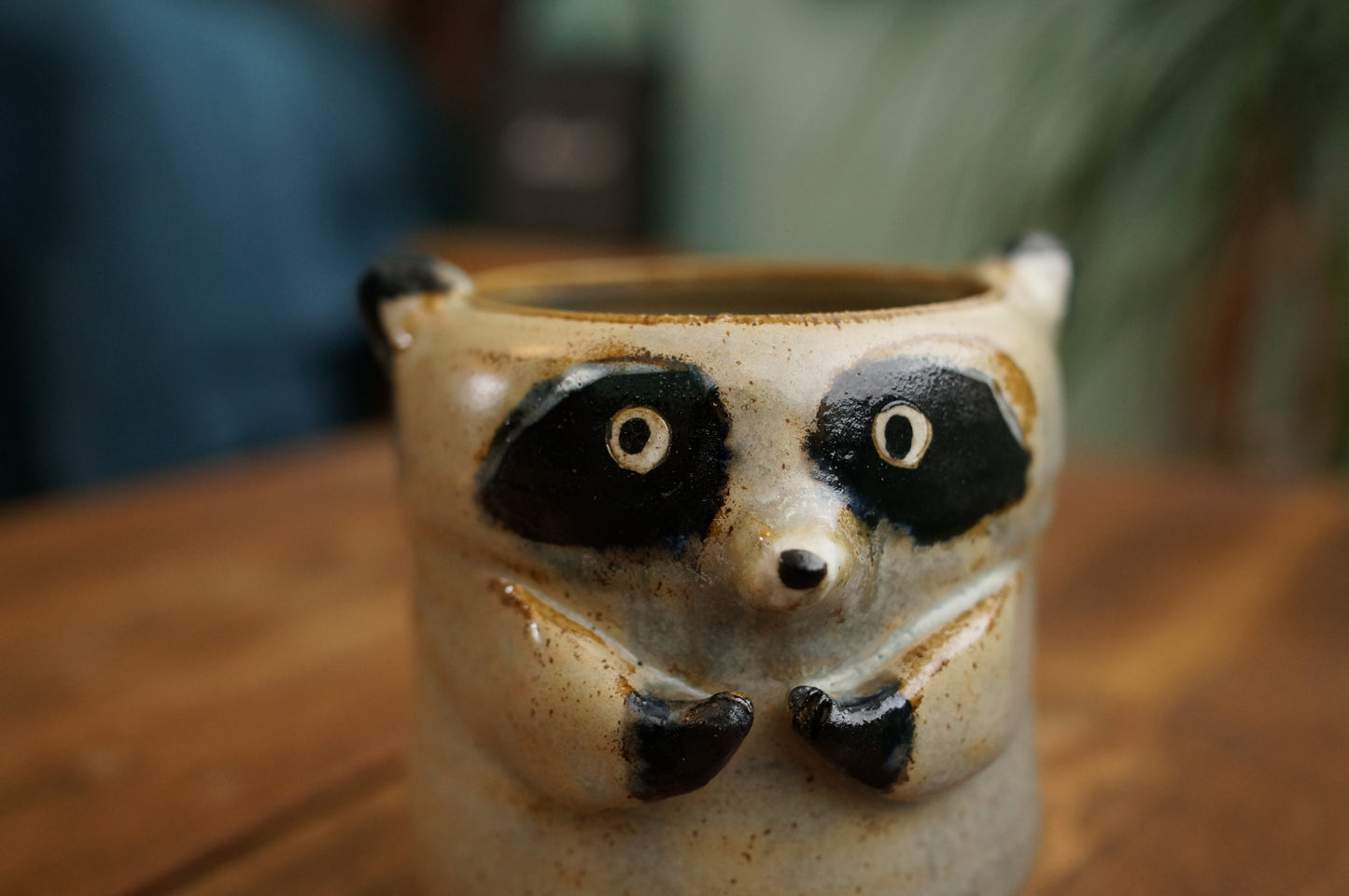 Raccoon Cup