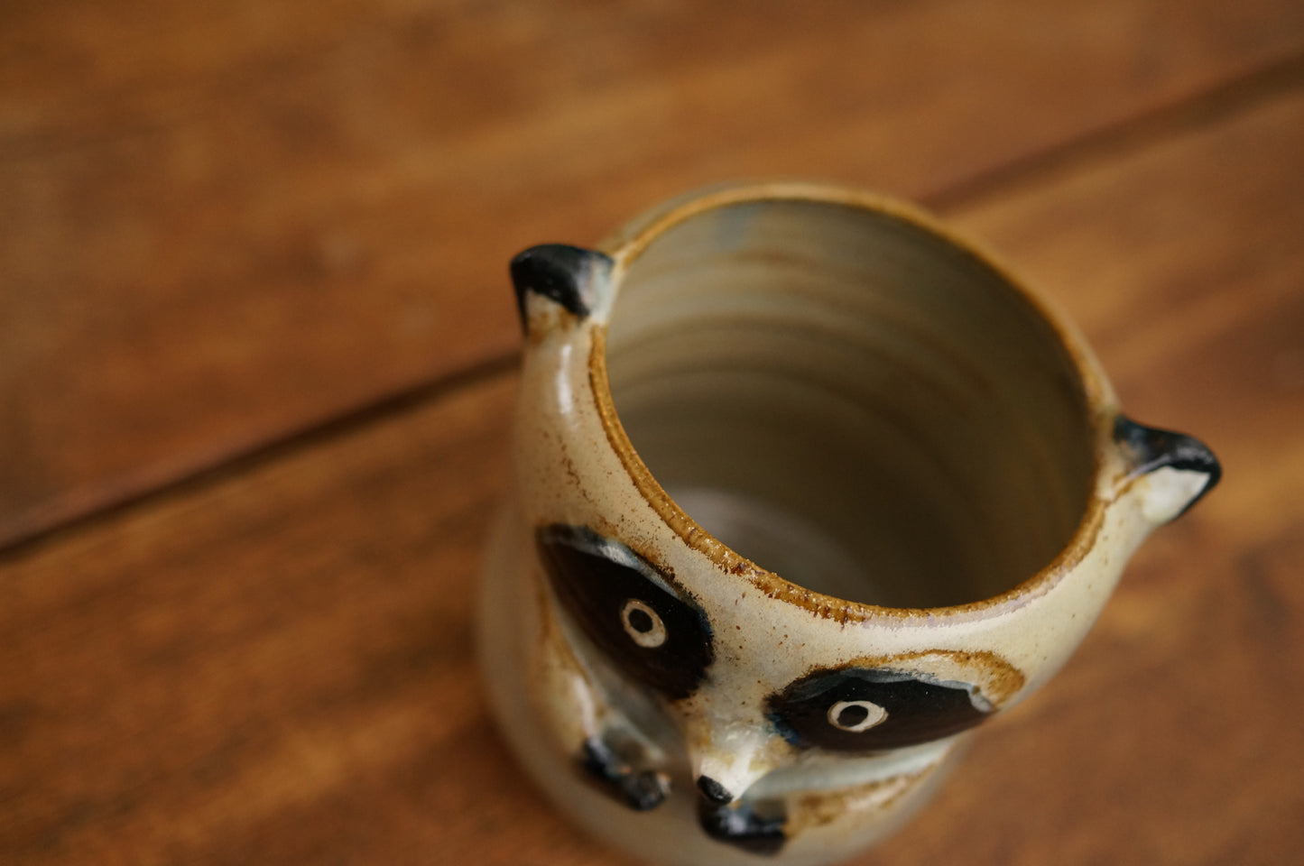 Raccoon Cup