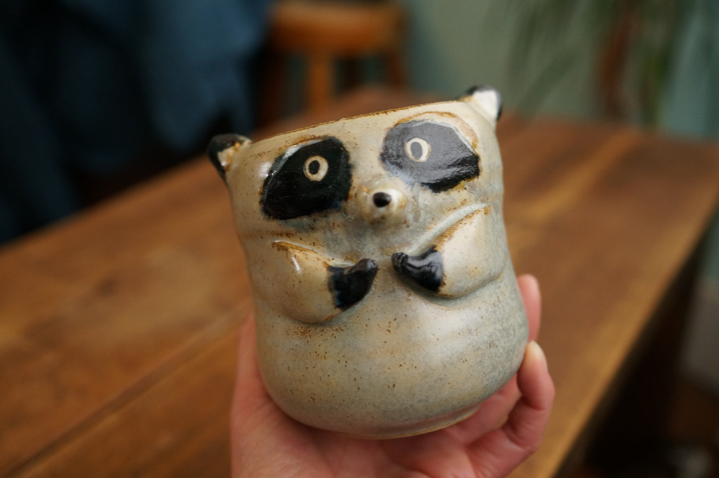 Raccoon Cup