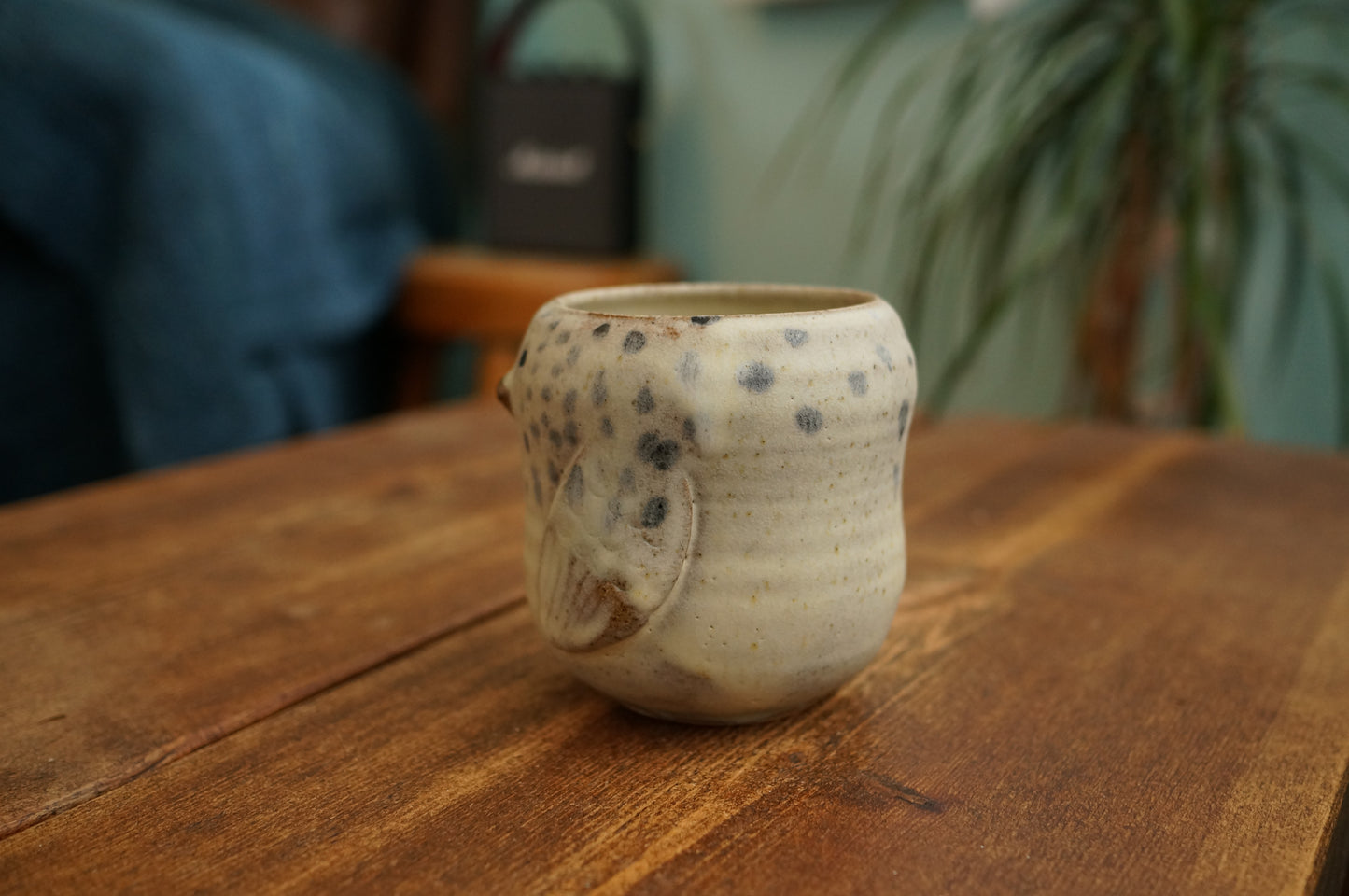 Snowy Owl Cup