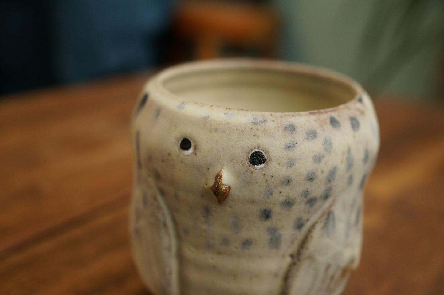 Snowy Owl Cup