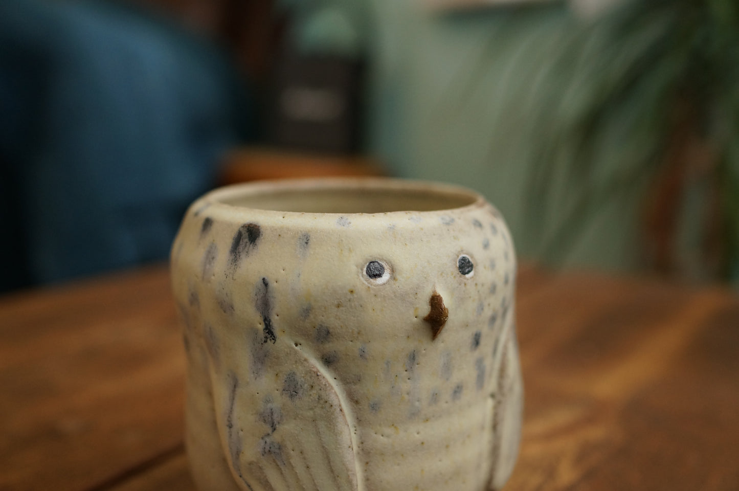 Snowy Owl Cup