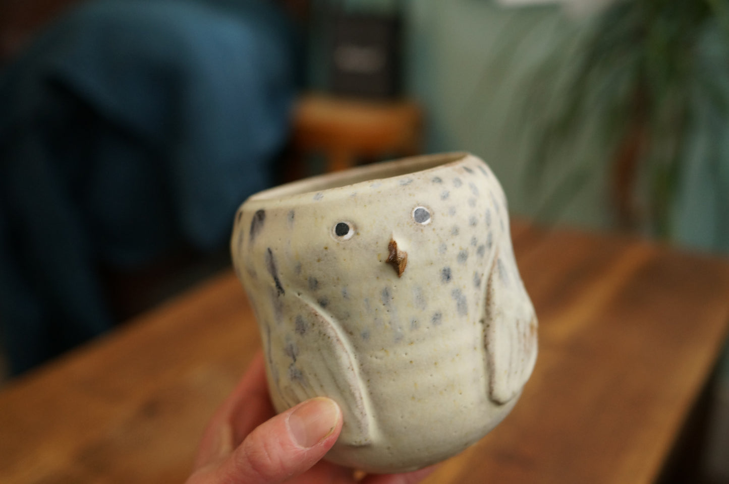 Snowy Owl Cup
