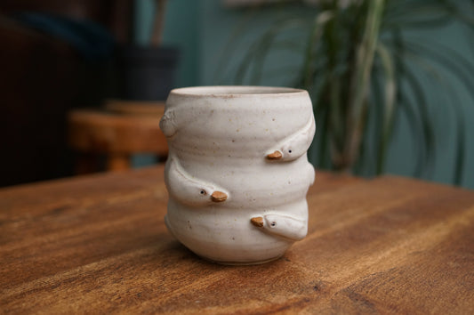 Duck Cup