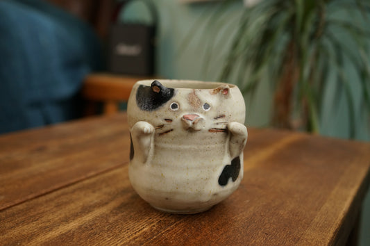 Cat Cup
