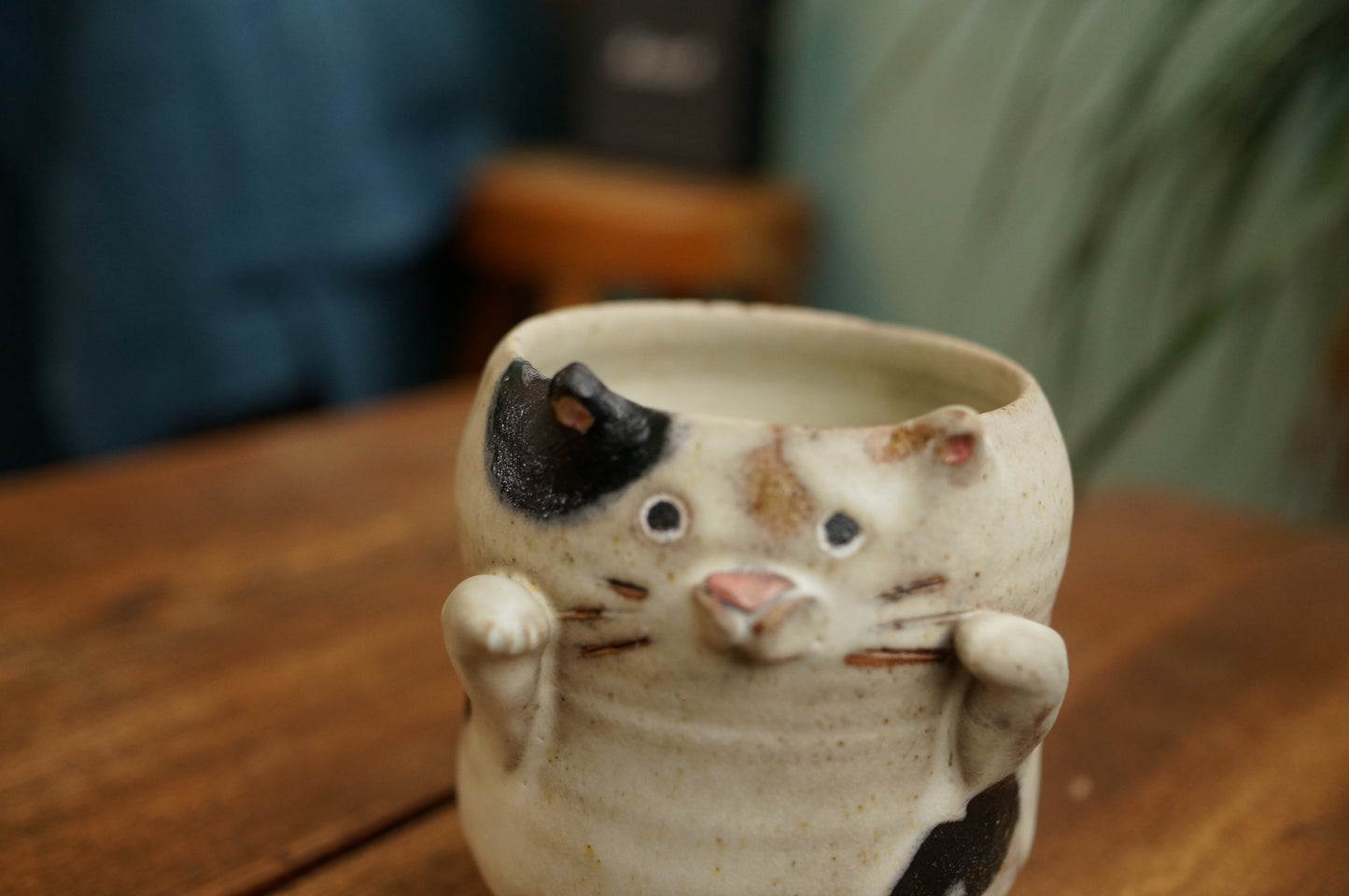 Cat Cup