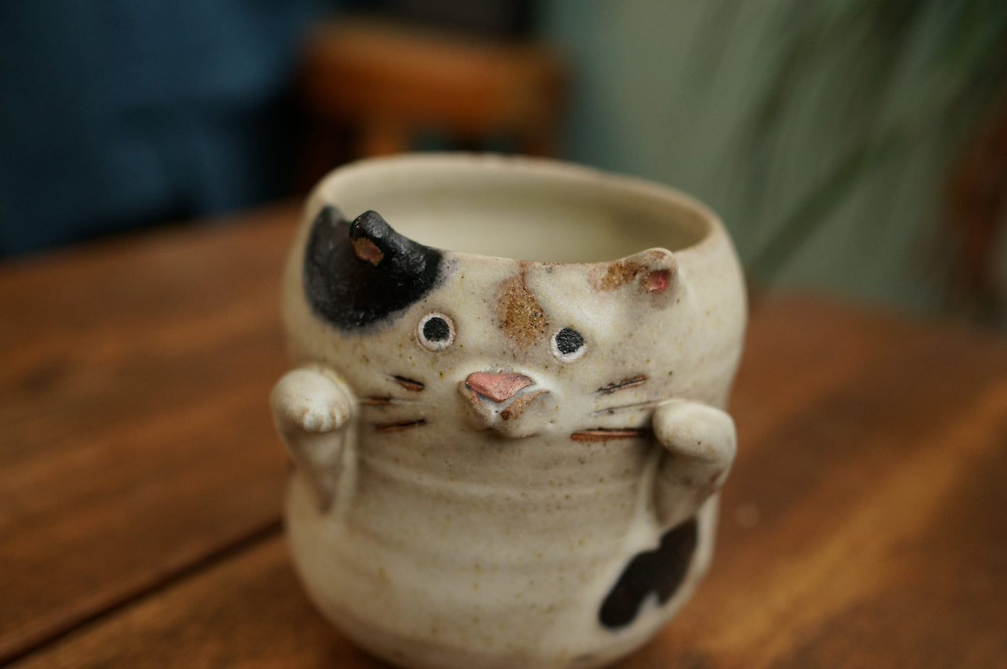 Cat Cup