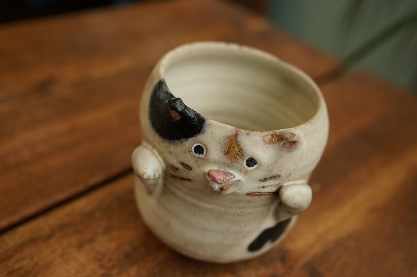 Cat Cup