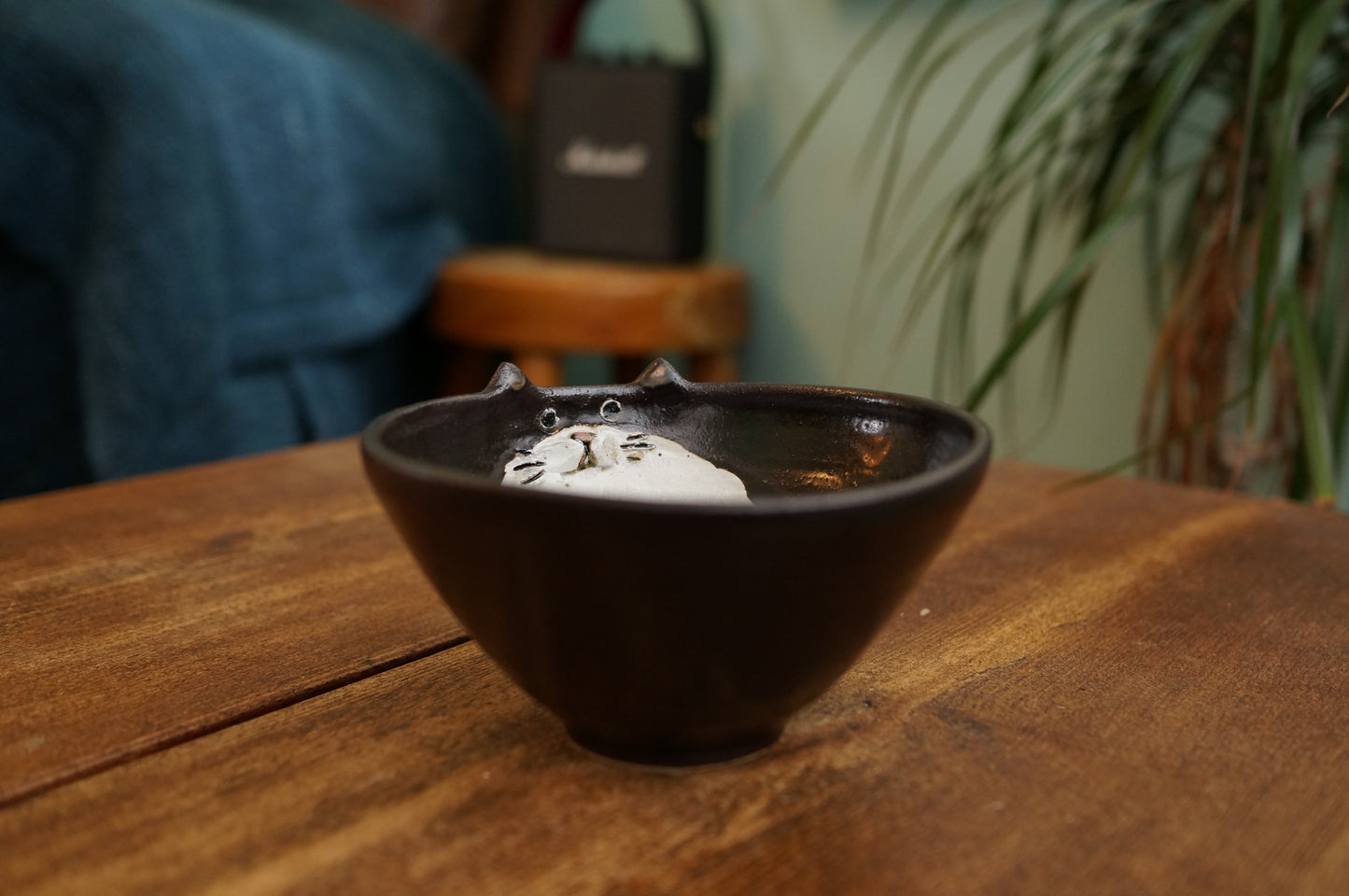 Cat Bowl
