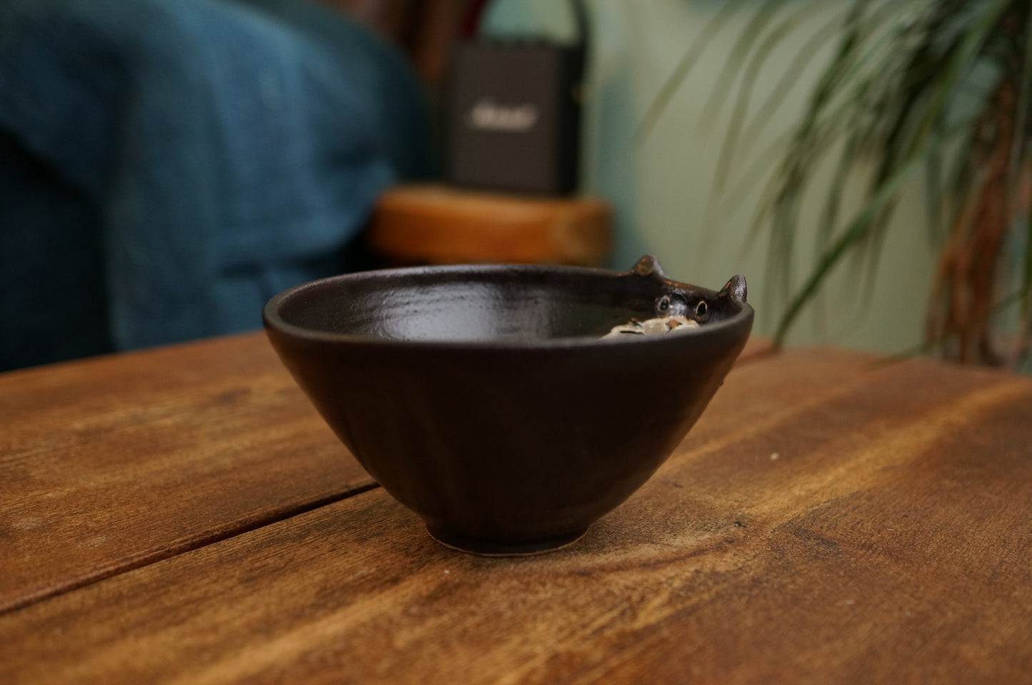 Cat Bowl
