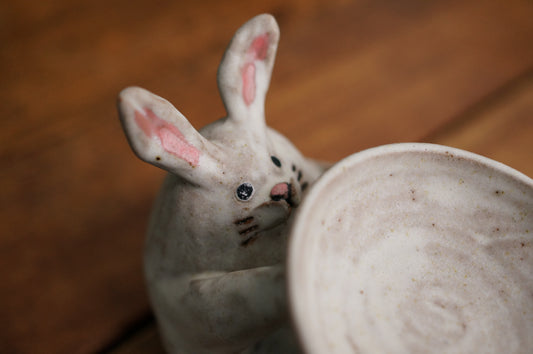 Rabbit Holder