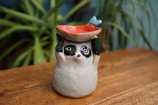 Raccoon Holder