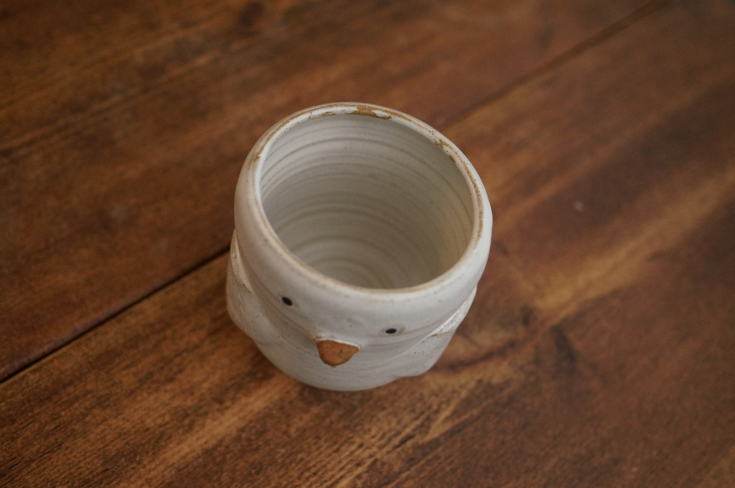Duck Cup
