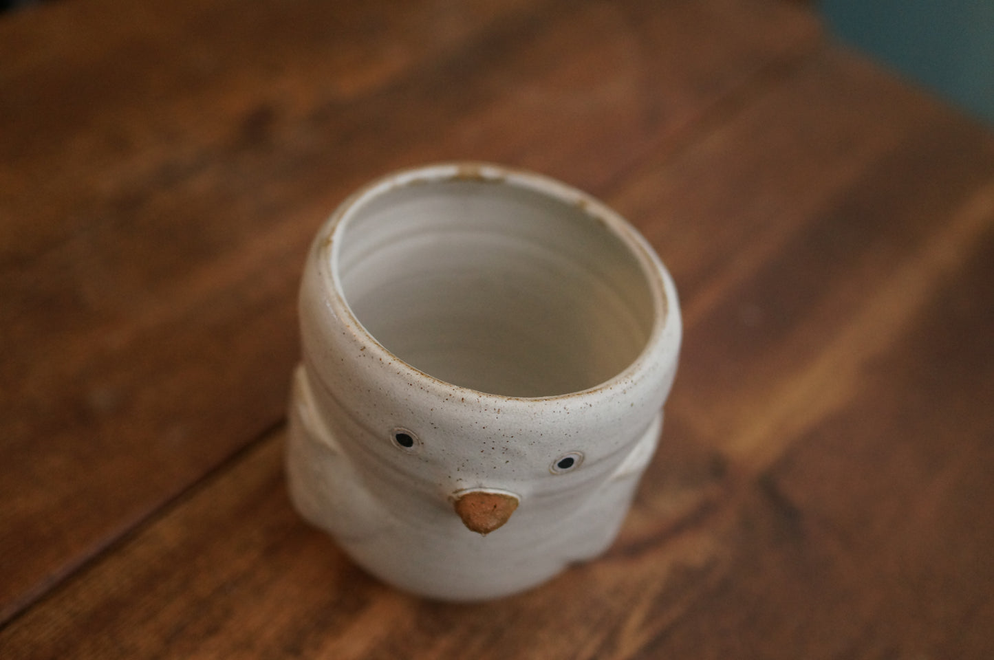 Duck Cup