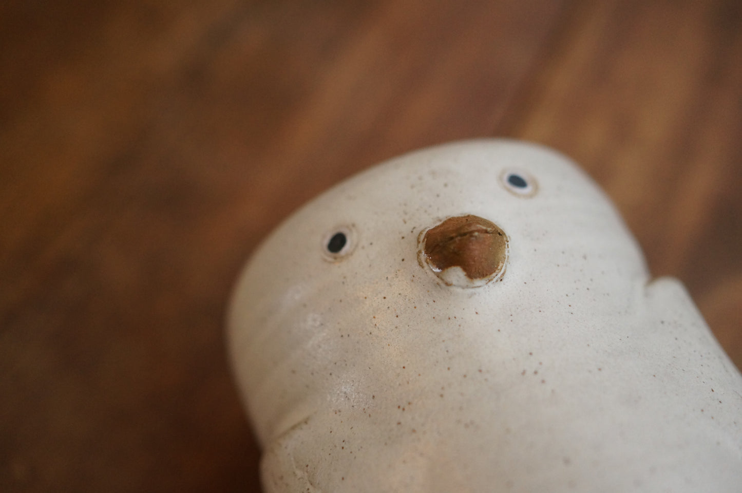 Duck Cup