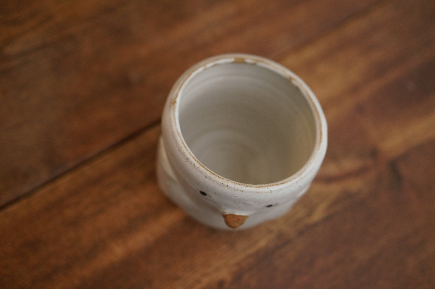 Duck Cup