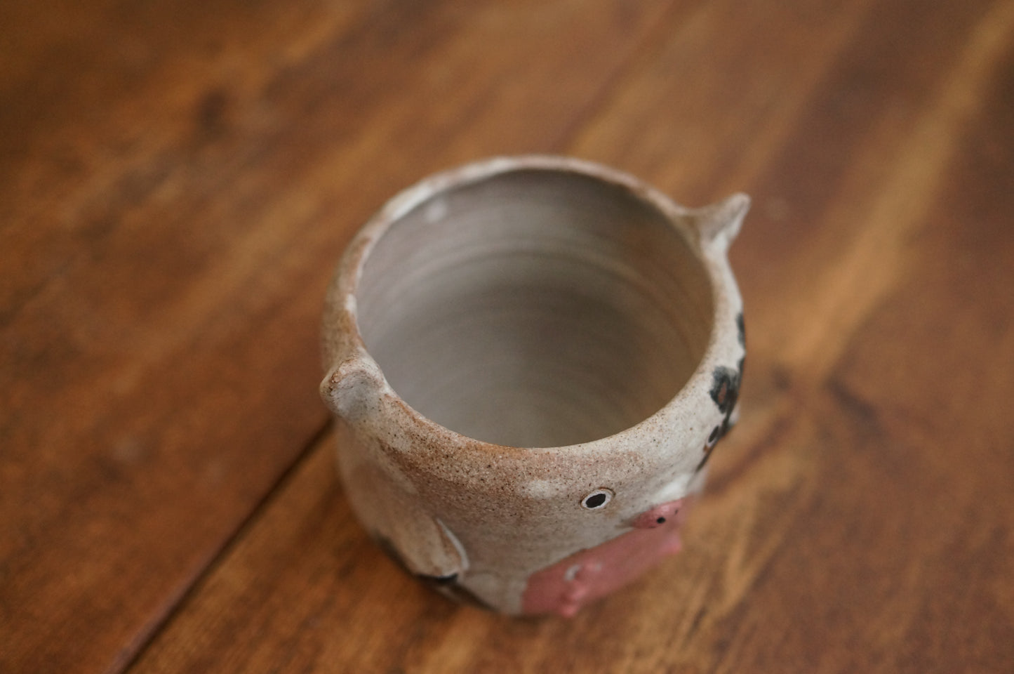 Cow Cup